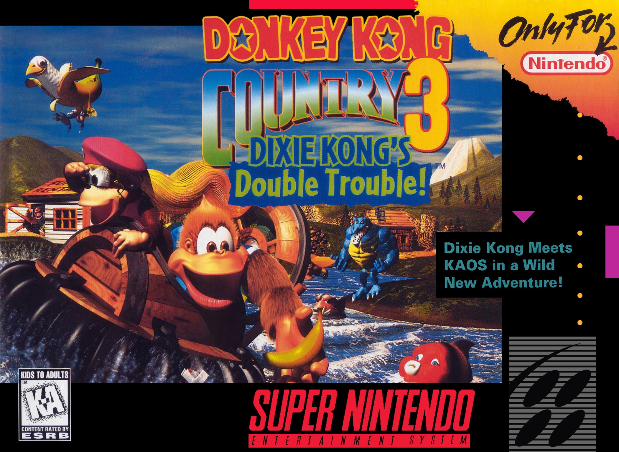 Donkey Kong Country 3 Box Art_Front
